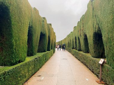 view of the city of the park in the Alhambra palace in Granada, Spain