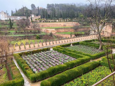 the garden in the city park with a green plants and a large stone wall in the alhambra castle, granada