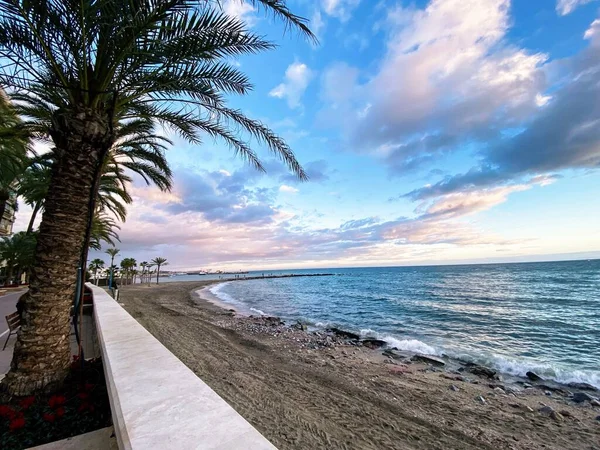 the beautiful beach with a tree at the sea with a blue and white clouds