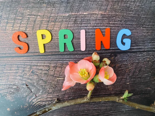 Spring Concept Word Wooden Background — Stok fotoğraf