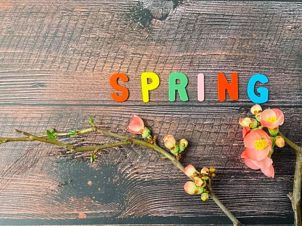 Concepto Primavera Flores Primavera Vieja Mesa Madera — Foto de Stock