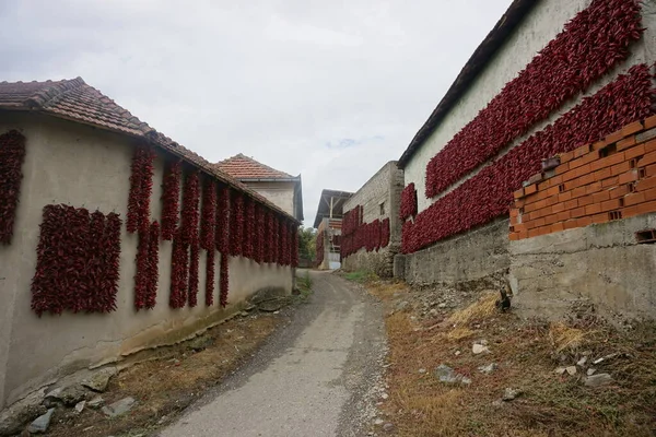 View Old Street Village Houses Peppers Dry — стоковое фото