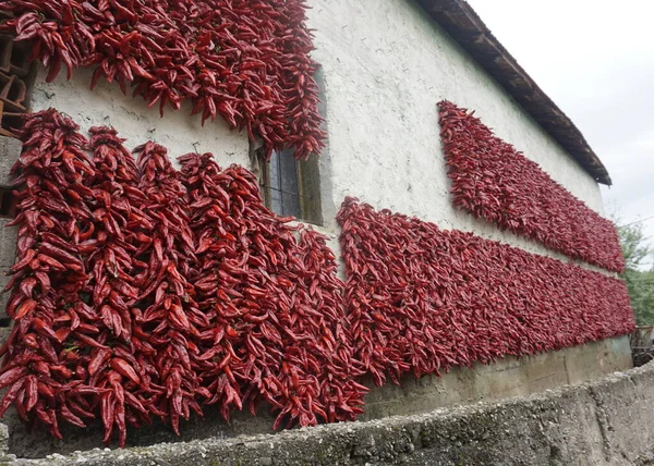 Dried Red Chili Peppers Dry Village Close View — Stock Fotó