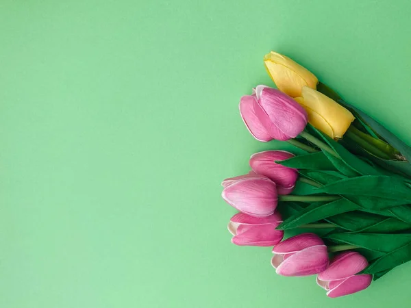 beautiful tulips on color background