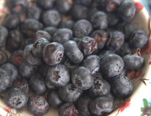 蓝莓和黑莓 — 图库照片