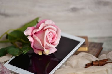 Tablet cihazında pembe bir gül çiçeği. Yakın plan, kopyalama alanı