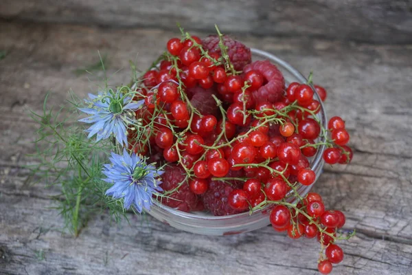 Fresh Red Currant Bowl Wooden Table — Stock Photo, Image