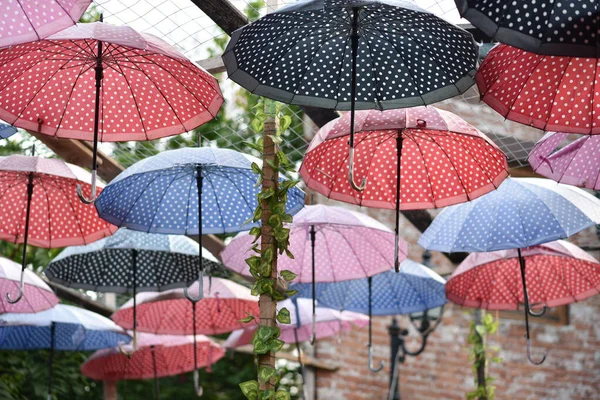 Крупный План Красочных Зонтиков Улице — стоковое фото