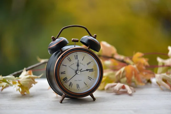 Alarm Clock Autumn Day — Stock Photo, Image