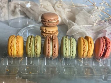 Açık gri duvar zemininde çikolatalı ve camlı kurabiyeler. Farklı tatlarda tatlı ve lezzetlidir..