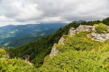 Yukarıdan dağ sırtı manzarası, yazın Karpat Dağları