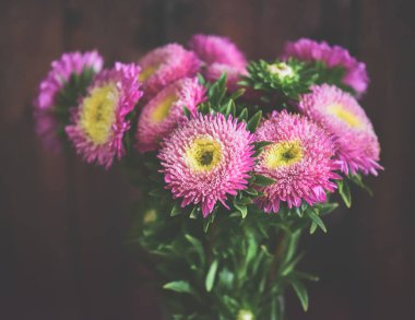 Bahçedeki güzel çiçekler