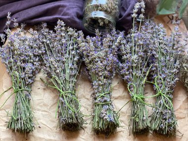 Bir tuval üzerinde lavanta çiçekleri