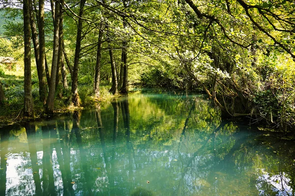セルビアのムバラ川の美しい景色 — ストック写真