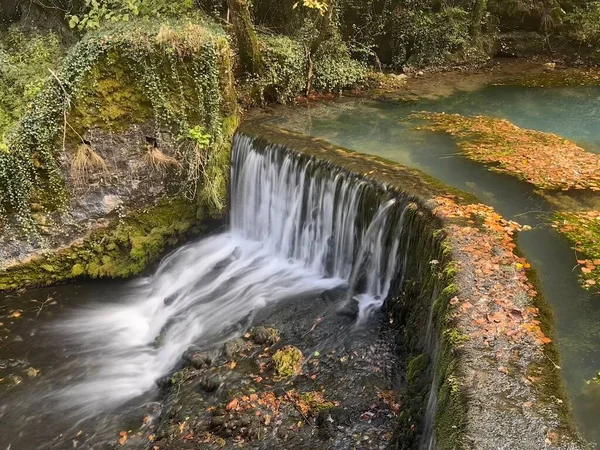 Ormanda güzel bir şelale