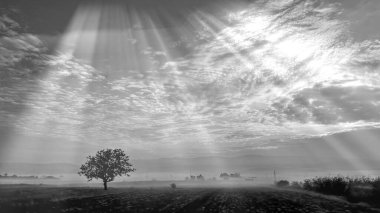 Kış sabahı tarlada siyah ve beyaz bulutlar