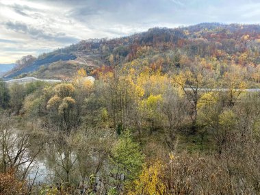 Dağlarda nehri olan güzel bir manzara.