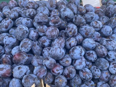 kapat - eriklerin yakın çekim, seçici odaklanma