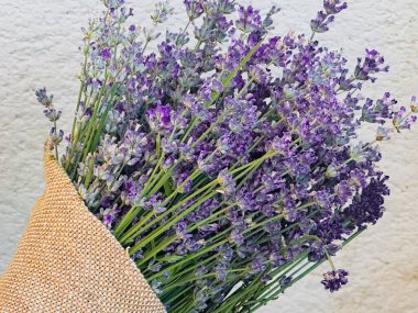 Lavanta çiçekleri ve lavanta buketi
