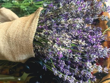 Sepette bir sürü taze lavanta