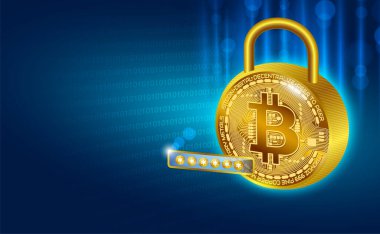 Özel şifreli bitcoins özel anahtar kilidine özel erişim. Kripto para birimi kavramı.