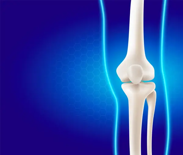 Nsan Bacağı Diz Kemikleri Tıbbi Gerçekçi Boyutlu Vektör Bacak Kemiğinin Telifsiz Stok Vektörler