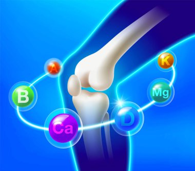 Multivitaminler kemik ve bacak kütlesi etrafında döner. Diz eklemleri ve kemikler için temel besinler multivitamin reklamları için vektör illüstrasyonu, tıbbi ve sağlıklı yaşam tarzı.