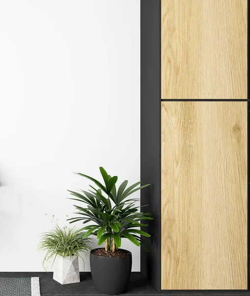 白色空旷的现代房间 有植物和木墙 3D渲染 — 图库照片
