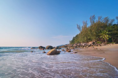 Taşlı, Tayland 'lı Palm sand tropikal plajı