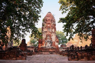 Buda heykeli Wat Mahathat Tapınağı, Ayutthaya, Tayland.
