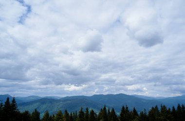 Yeşil ormanlı güzel dağlar. Karpatlar, Ukrayna.