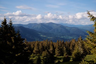 Yeşil ormanlı güzel dağlar. Karpatlar, Ukrayna.