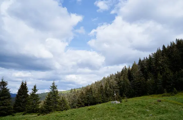Beautiful Mountain Landscape Green Forest Carpathians Ukraine — Stock Photo, Image