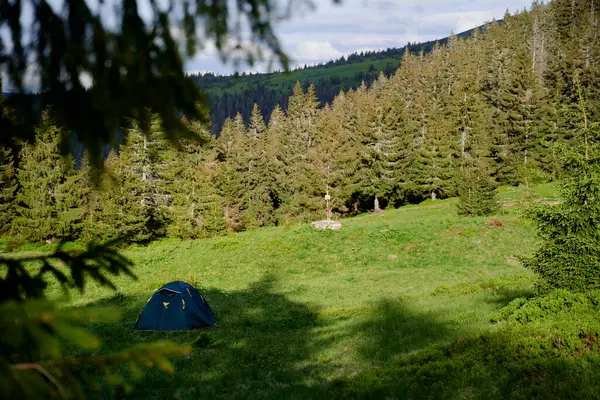 Turizm ve seyahat konsepti. Dağ ormanı ve turist çadırıyla güzel bir yaz manzarası..