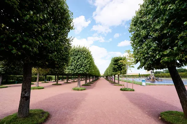 Landscaping Design Park Alley Petergof Palace Summer — Stock Photo, Image