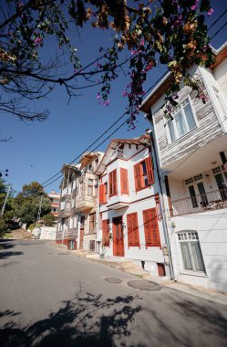 İstanbul kenti yakınlarındaki Prince Adaları 'nın geleneksel ahşap mimarisi