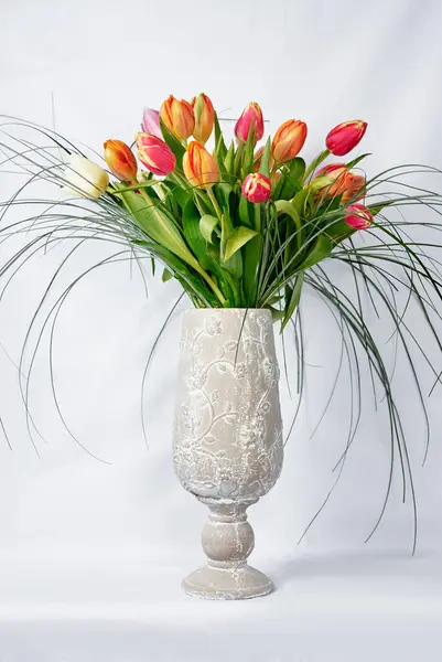 Tulips Bouquet White Background — Stock Photo, Image