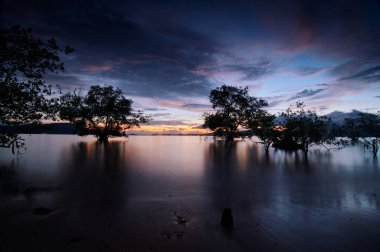 Beautiful sunset landscape with tree silhouettes on low tide beach. clipart