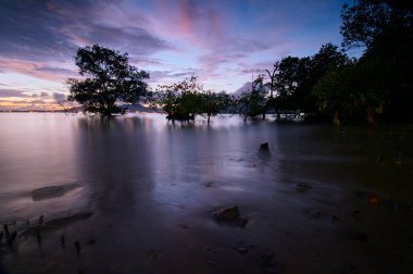 Dalgalar altında ağaç siluetleriyle güzel bir gün batımı manzarası..