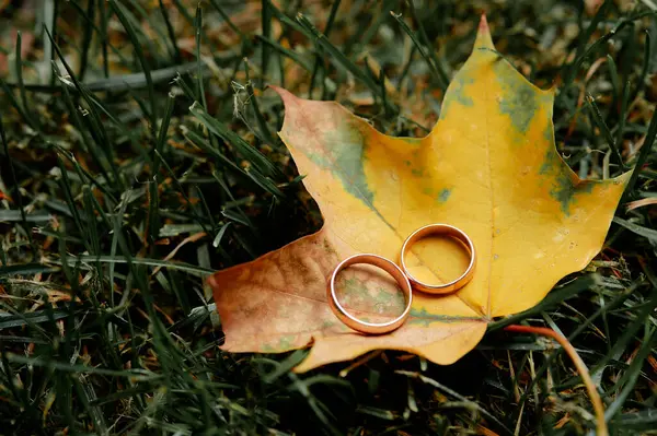 黄色い葉の上の金の結婚指輪のカップル — ストック写真