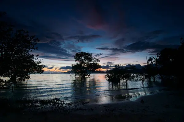 Vacker Solnedgång Landskap Med Träd Silhuetter Lågvatten Strand — Stockfoto