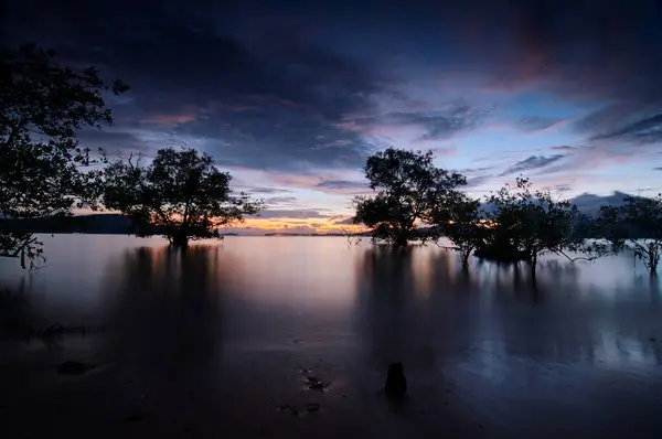 Vacker Solnedgång Landskap Med Träd Silhuetter Lågvatten Strand — Stockfoto