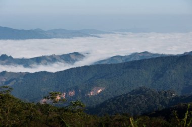Güzel yeşil dağ manzarası Bulutlar aşağı iniyor.