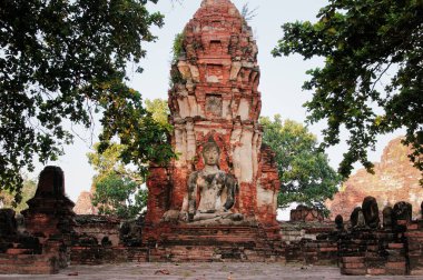 Buda heykeli Wat Mahathat Tapınağı, Ayutthaya, Tayland.