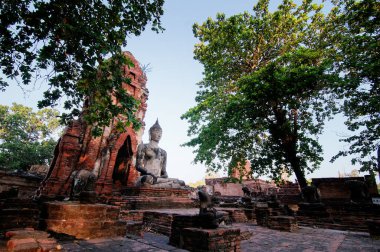Buda heykeli Wat Mahathat Tapınağı, Ayutthaya, Tayland.
