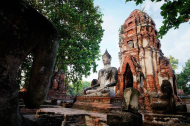 Buda heykeli Wat Mahathat Tapınağı, Ayutthaya, Tayland.