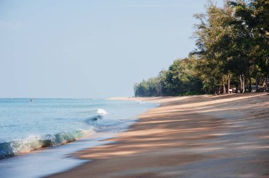 Tropikal kumsal manzarası.