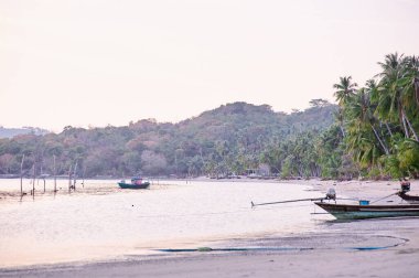Tropik plajları, hindistan cevizi palmiyeleri ve geleneksel uzun kuyruklu tekneleri olan manzara. Samui Adası, Tayland.