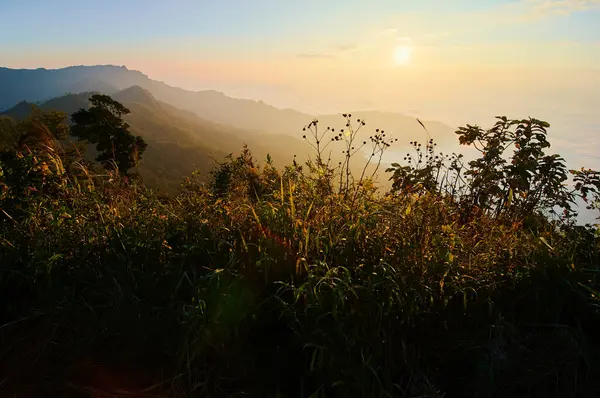 Beautiful Mountains Landscape Sunrise Phu Chi North Thailand — Stock Photo, Image