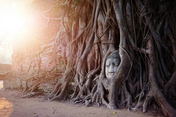 Ancient Budha Statue Face Tree Roots Ayuthaya Khmer Temple Thailand — Stock Photo, Image